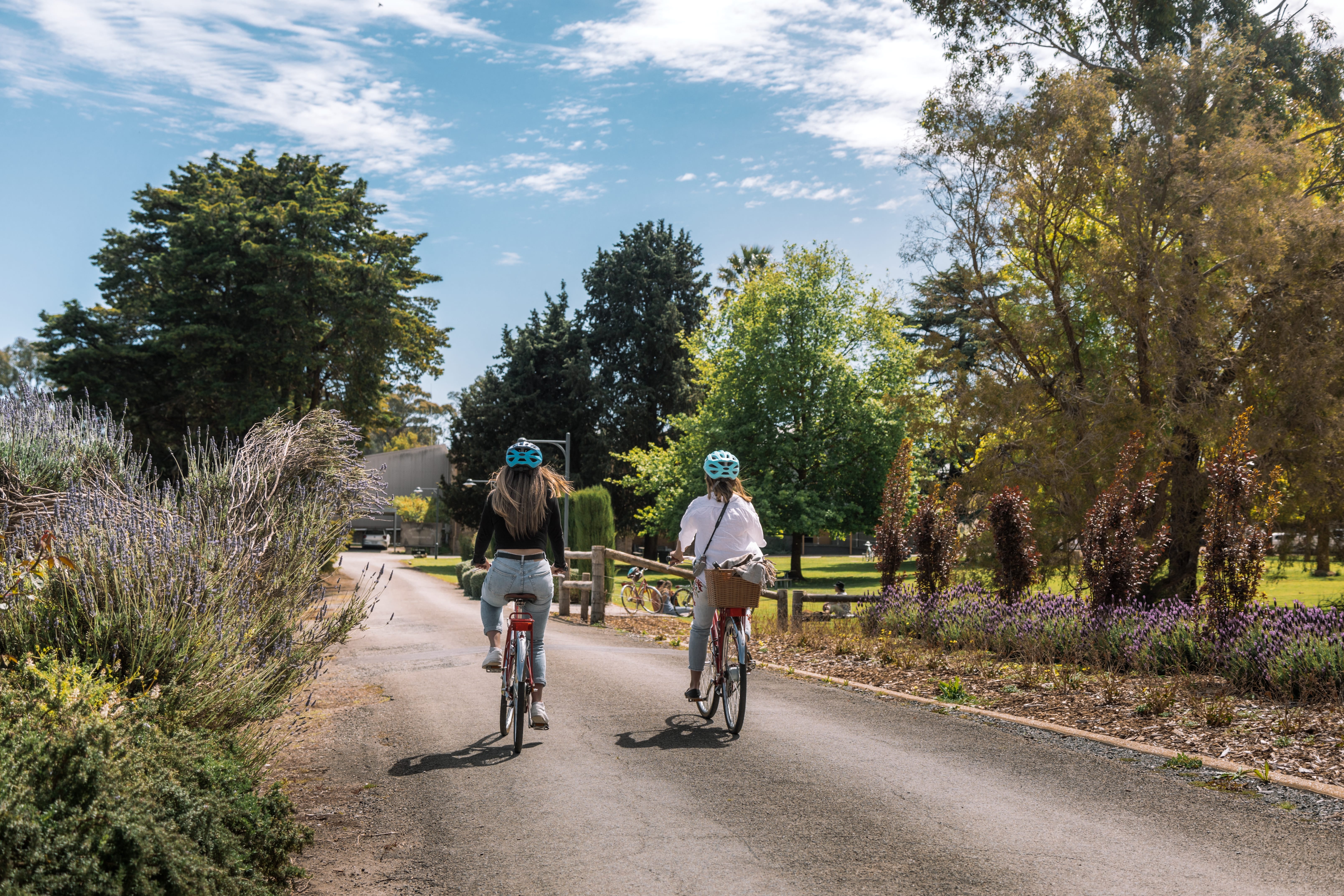 Sevenhill Cellars Image (1)