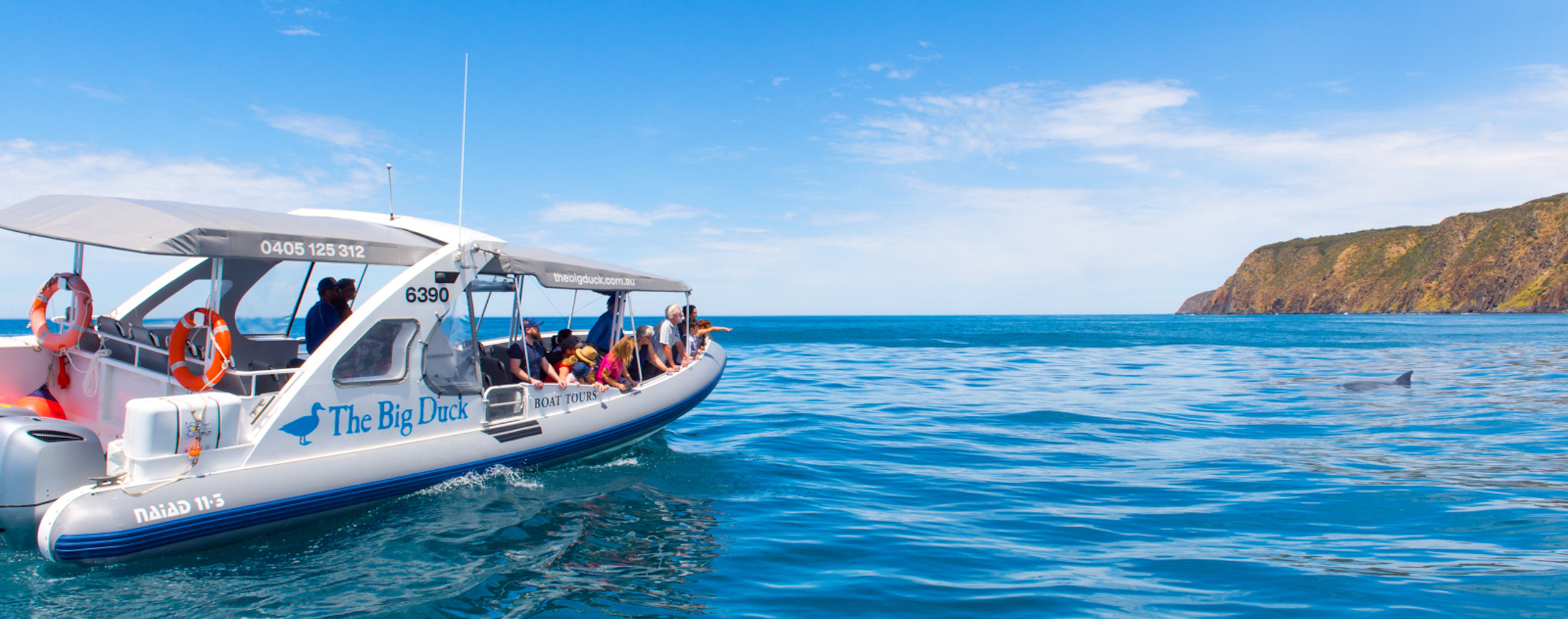 South Australian Consumer Brochure