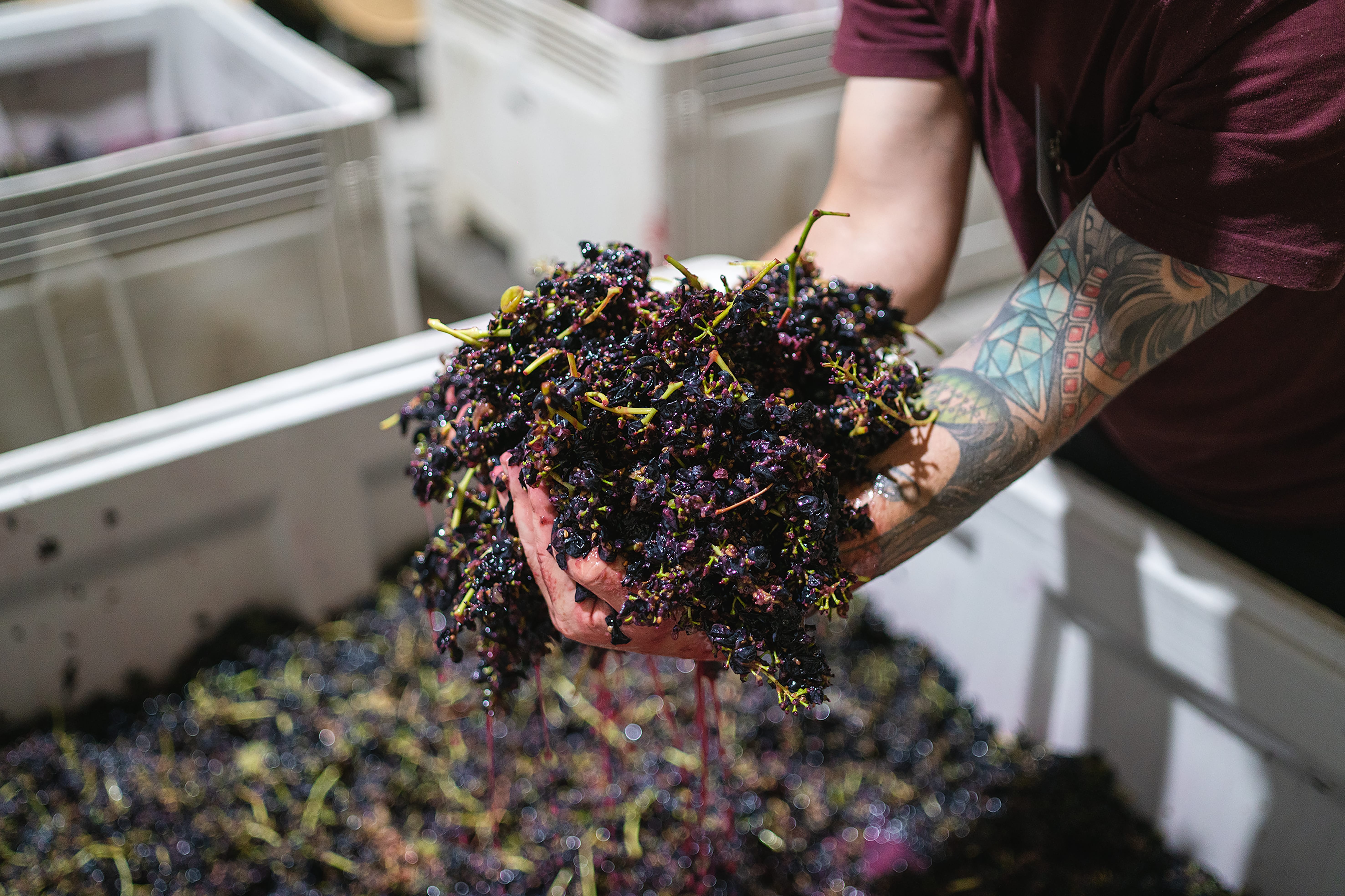 Whistler Wines Image