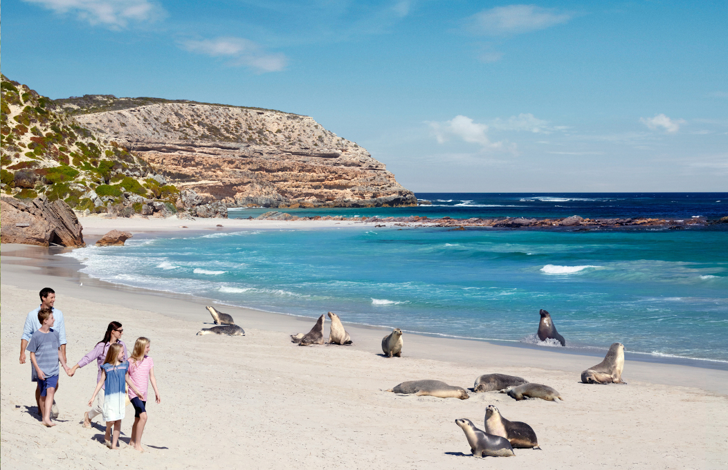 French International Page