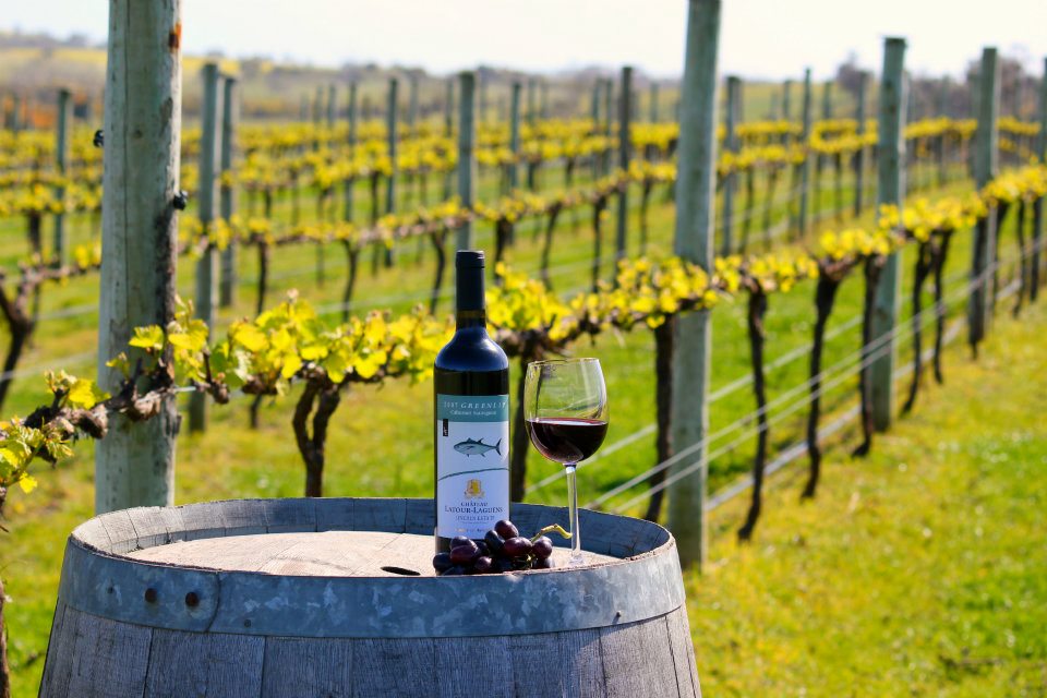 Lincoln Estate Wines