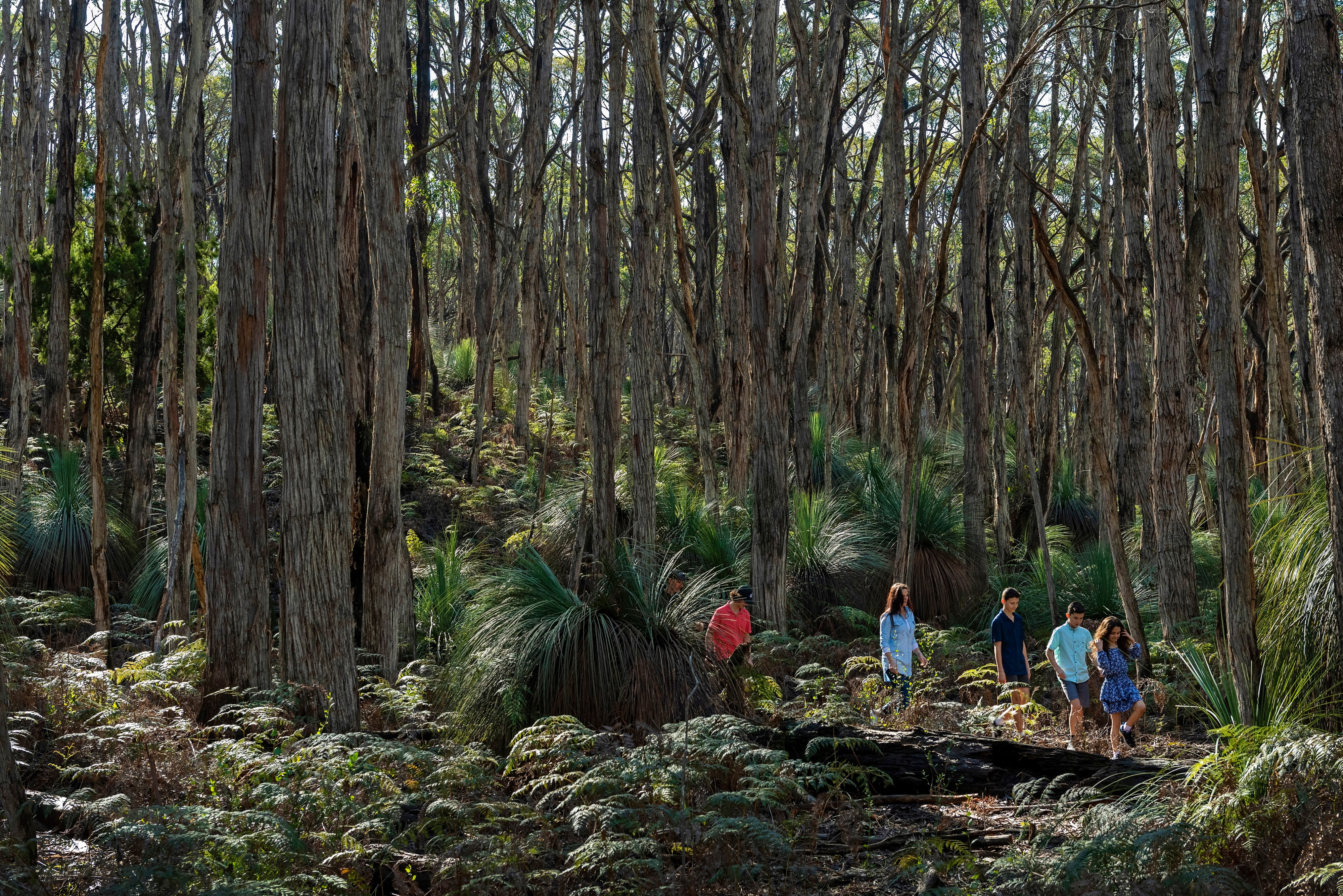 Deep Creek National Park, Fleurieu Peninsula