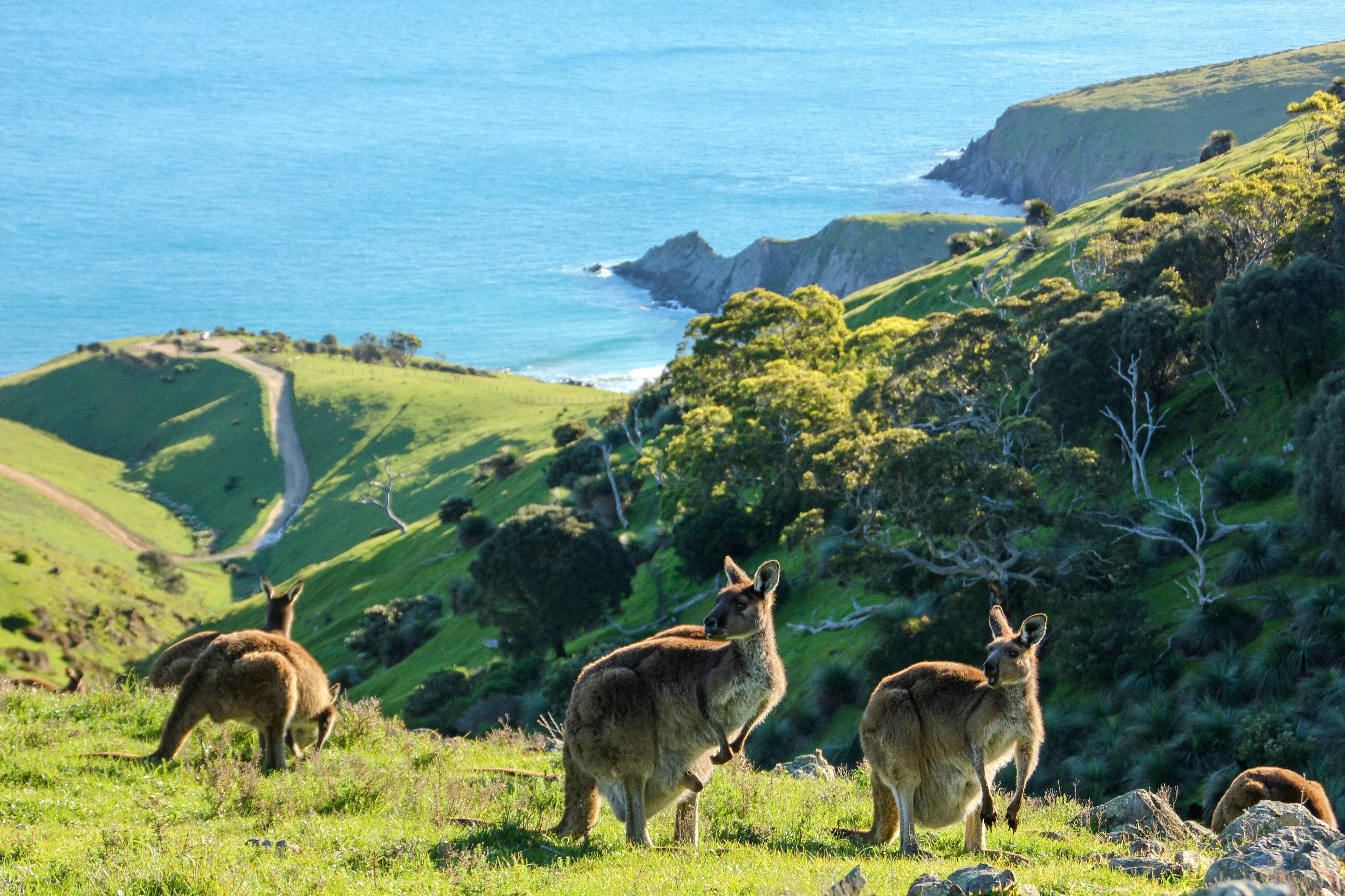 122222 166 Off Piste 4WD Tours (Benjamin Neville)