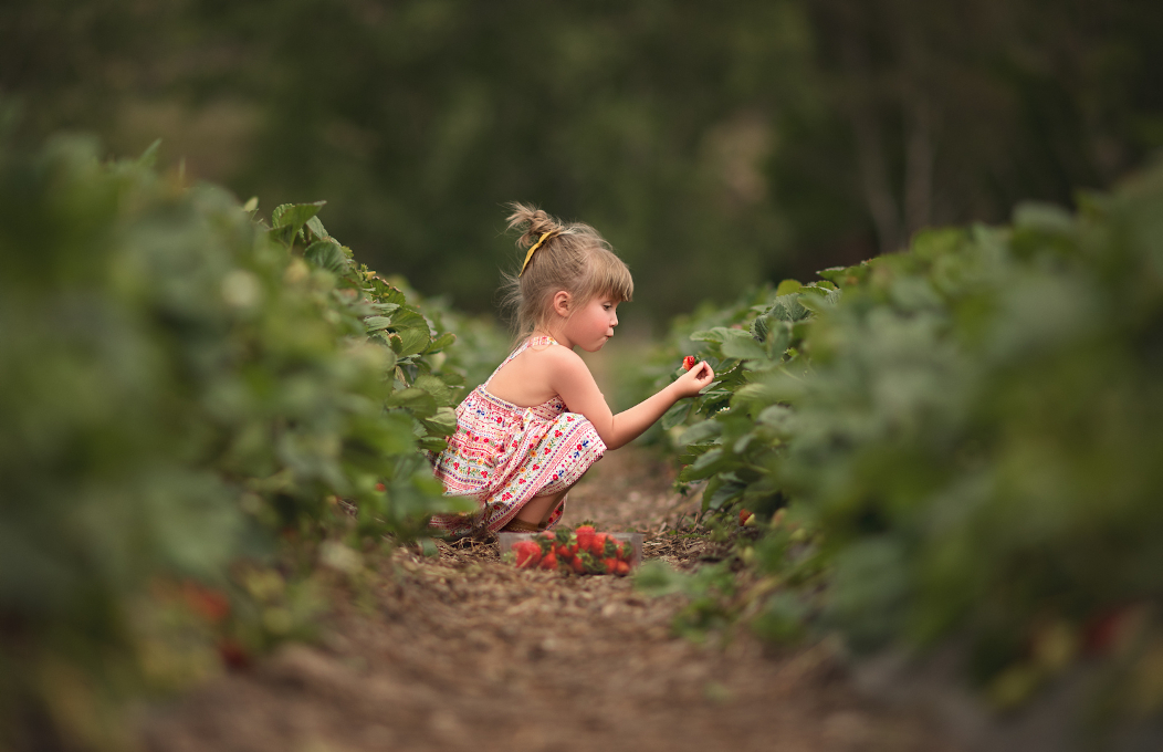 Family travel in South Australia (English)