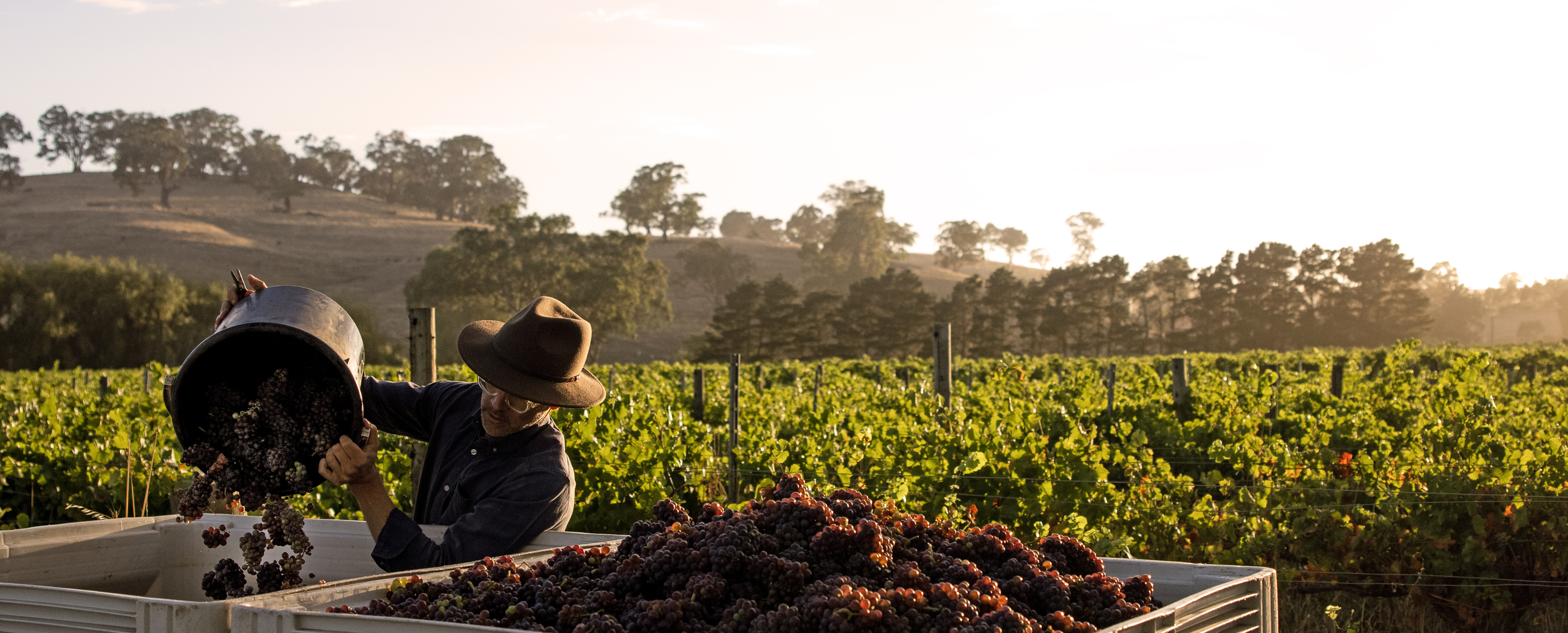 SATC Adelaide ATE 05