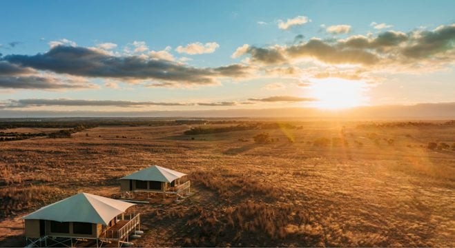 Monarto Safari