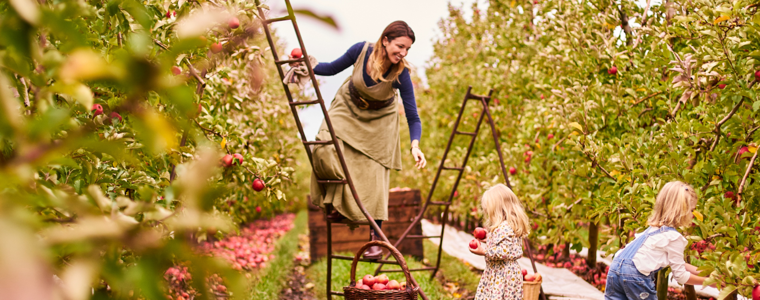 南澳大利亚培训课件