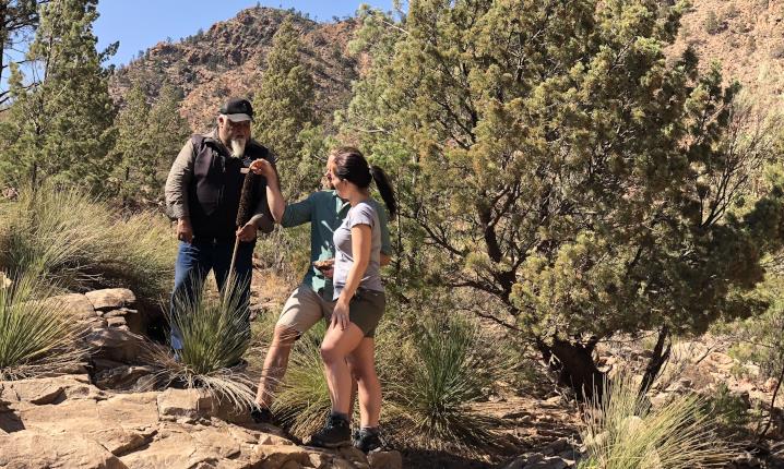 Wilpena Pound Time Travel Image