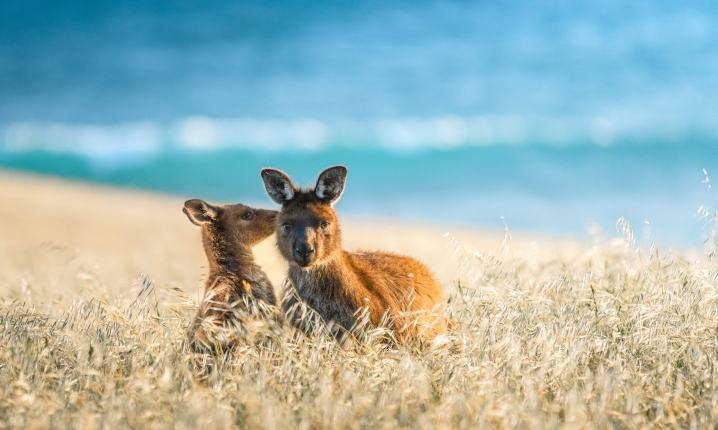 North America Image 9