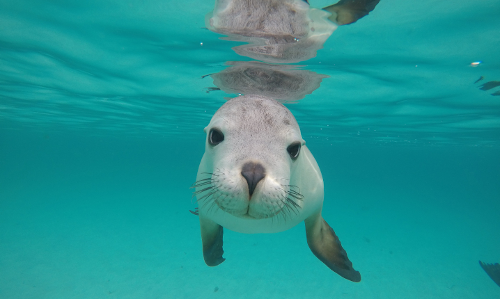 North America Image 10