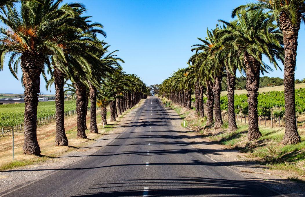 Introduction to South Australia (English)