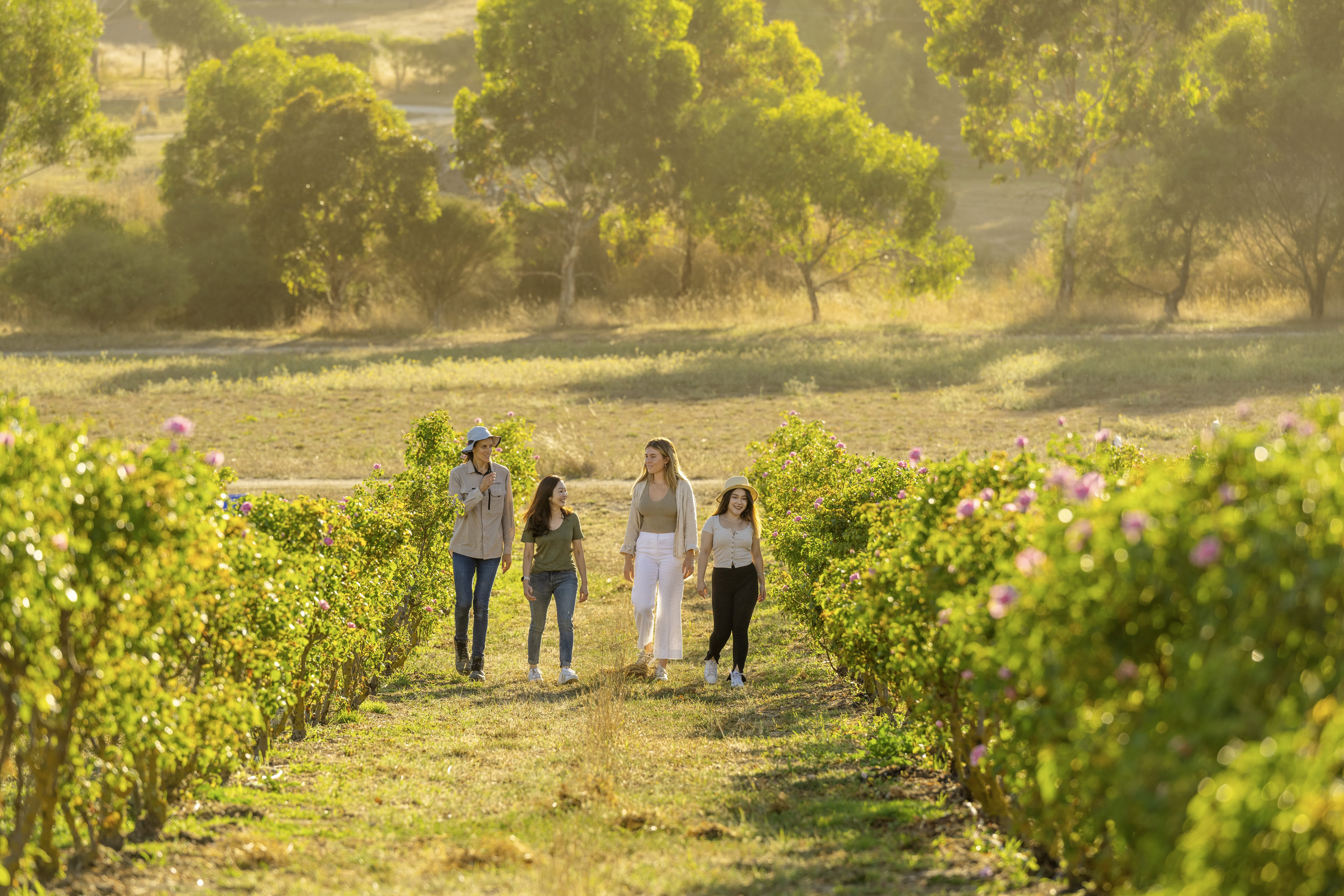 1068741 167 Tourism Australia South Australia Tourism Commission