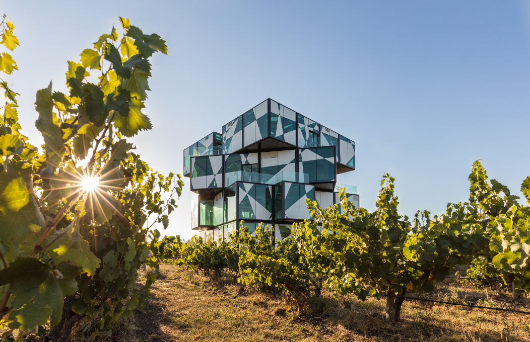 South Australian Experts - Quiz 2