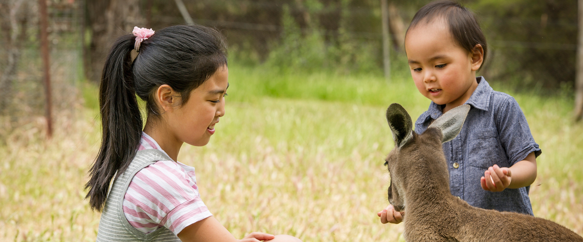 Attractions | trade.southaustralia.com