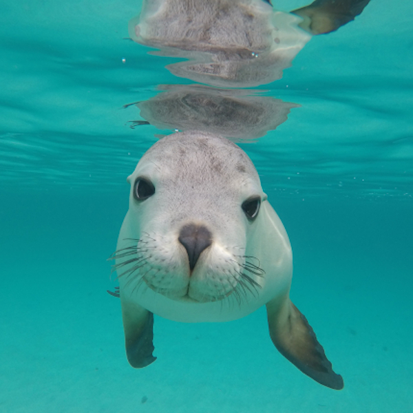 North America Image 10