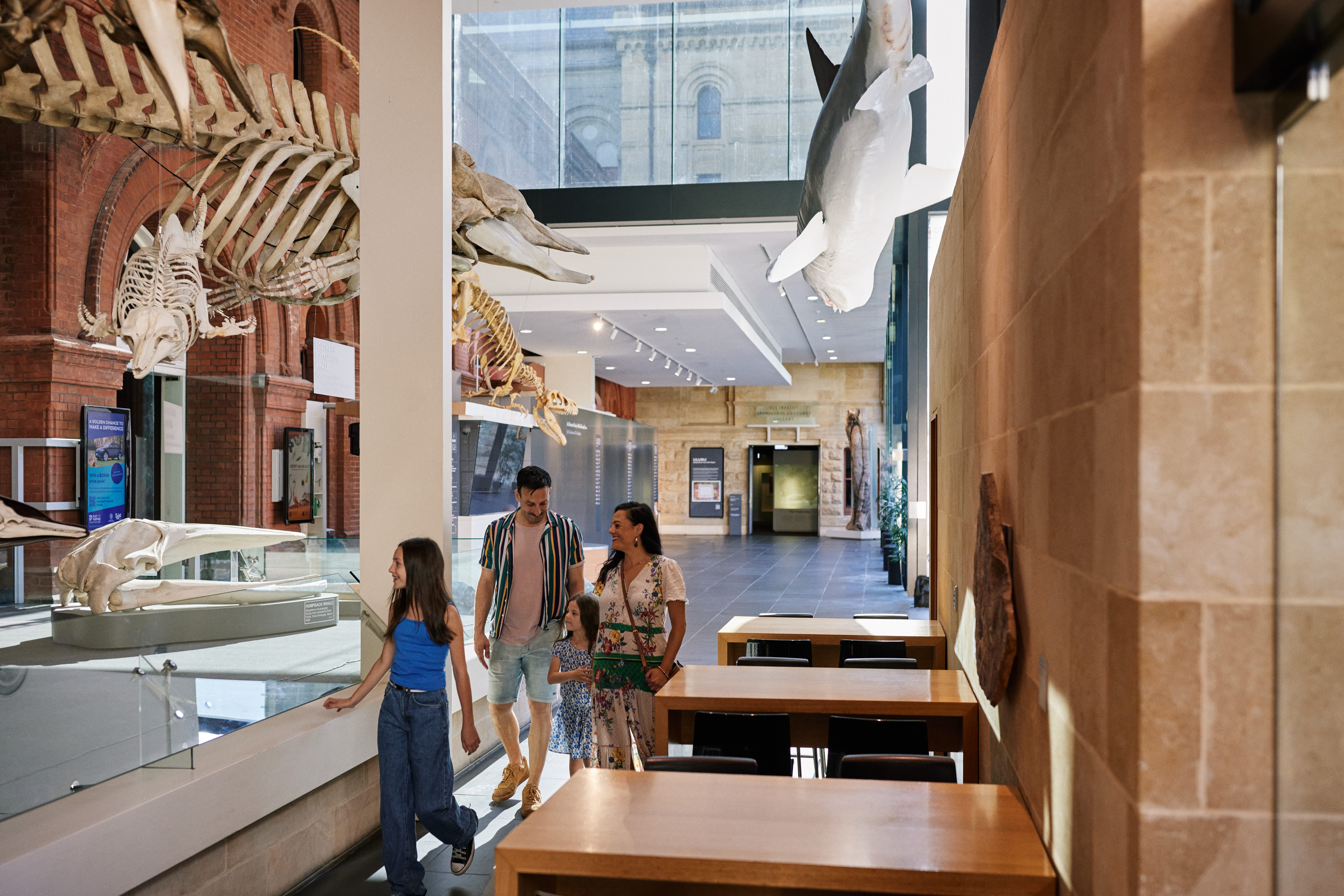 South Australian Museum Image 2