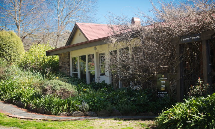 Kilikanoon Winery Image