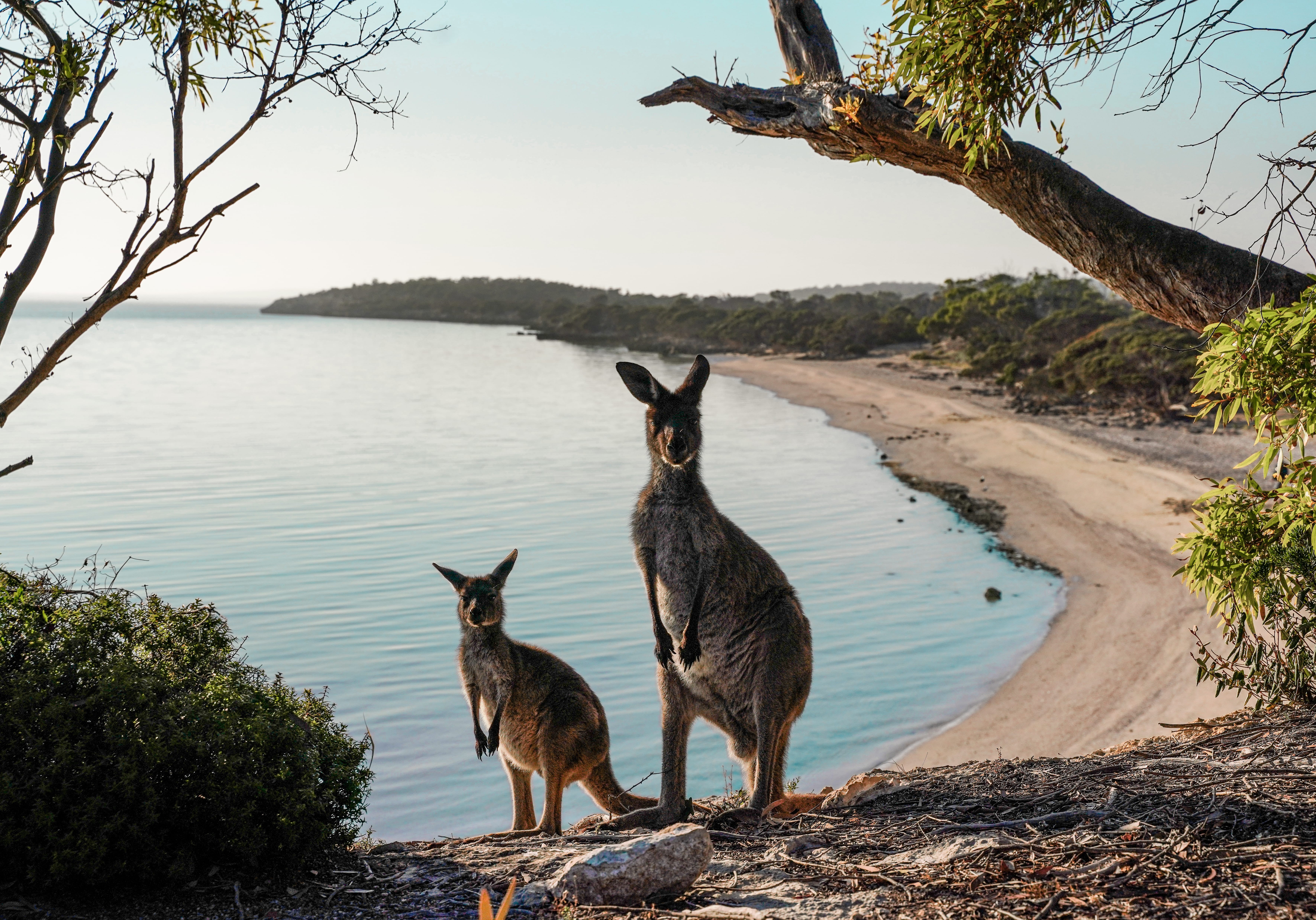 259635 167 BRZY PTY LTD