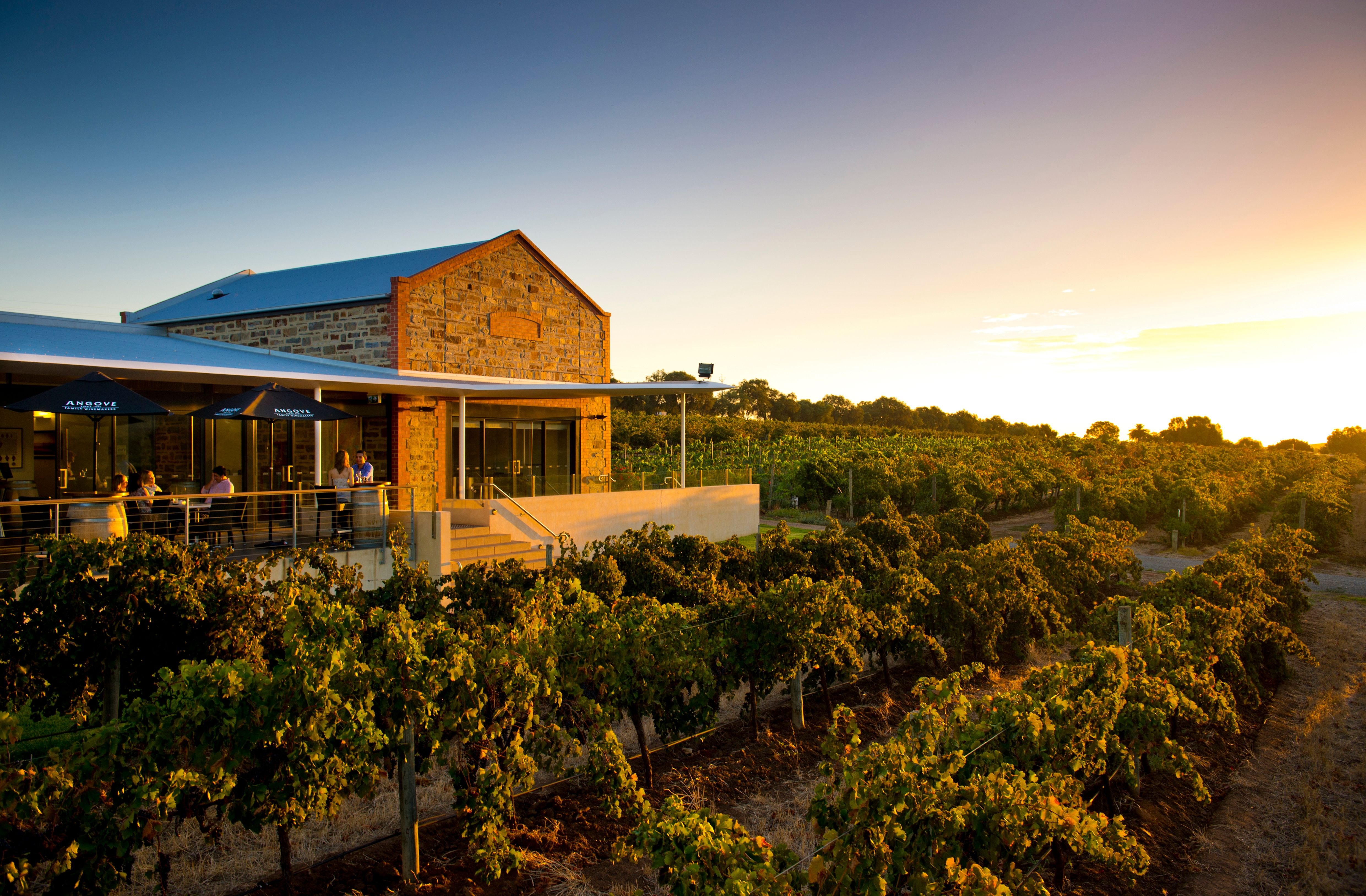 Angove Winery
